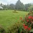 3 Schlafzimmer Haus zu verkaufen in Otavalo, Imbabura, San Juan De Iluman