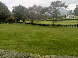 3 Schlafzimmer Haus zu verkaufen in Otavalo, Imbabura, San Juan De Iluman