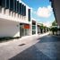 210 SqM Office for rent in Merida, Yucatan, Merida