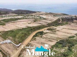  Land for sale in Manabi, Montecristi, Montecristi, Manabi