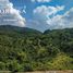  Terreno (Parcela) en venta en Balamban, Central Visayas, Balamban