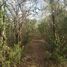  Land for sale in Seye, Yucatan, Seye