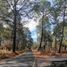  Land for sale in Atemajac De Brizuela, Jalisco, Atemajac De Brizuela
