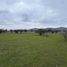  Land for sale in Cardenal Caro, Libertador General Bernardo Ohiggins, La Estrella, Cardenal Caro