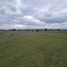  Land for sale in Cardenal Caro, Libertador General Bernardo Ohiggins, La Estrella, Cardenal Caro