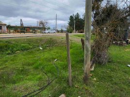 Land for sale in Cardenal Caro, Libertador General Bernardo Ohiggins, La Estrella, Cardenal Caro