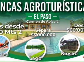  Land for sale in Tolima, Melgar, Tolima