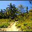  Land for sale in Sofronio Espanola, Mimaropa, Sofronio Espanola, Palawan, Mimaropa