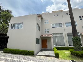 Condominium 3 chambre à vendre à Miguel Hidalgo, Mexico City, Miguel Hidalgo, Mexico City, Mexique