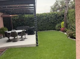 3 Schlafzimmer Appartement zu verkaufen in Coyoacan, Mexico City, Coyoacan