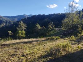  Land for sale in Mineral Del Chico, Hidalgo, Mineral Del Chico
