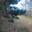  Land for sale in Mineral Del Chico, Hidalgo, Mineral Del Chico