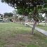 3 Habitación Apartamento en venta en Los Olivos, Lima, Los Olivos, Lima, Lima