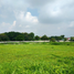  Land for sale at alabang west village, Tondo I / II