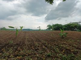  Grundstück zu verkaufen in Laguna, Calabarzon, Calamba City