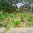 Terreno (Parcela) en venta en Cebu City, Central Visayas, Cebu City, Cebu, Central Visayas, Filipinas