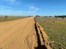  Terreno (Parcela) en venta en Cardenal Caro, Libertador General Bernardo O'Higgins, Litueche, Cardenal Caro