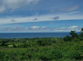  Land for sale in Lazi, Siquijor, Lazi