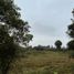  Land for sale in Aucallama, Lima, Aucallama
