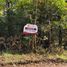  Land for sale in Chile, Mariquina, Valdivia, Los Rios, Chile