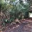  Land for sale in Chile, Mariquina, Valdivia, Los Rios, Chile