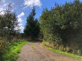  Land for sale in Chile, Mariquina, Valdivia, Los Rios, Chile