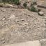  Terreno (Parcela) en venta en Lurigancho, Lima, Lurigancho
