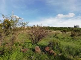  Terreno (Parcela) en venta en Corregidora, Querétaro, Corregidora