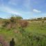  Terreno (Parcela) en venta en Corregidora, Querétaro, Corregidora