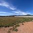  Land for sale in Elqui Coquimbo, Coquimbo