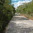 Land for sale in Baca, Yucatan, Baca