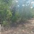  Land for sale in Baca, Yucatan, Baca