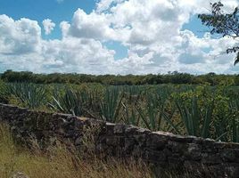  Grundstück zu verkaufen in Baca, Yucatan, Baca