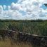  Land for sale in Baca, Yucatan, Baca