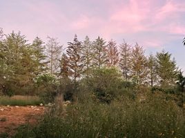  Grundstück zu verkaufen in Tapalpa, Jalisco, Tapalpa