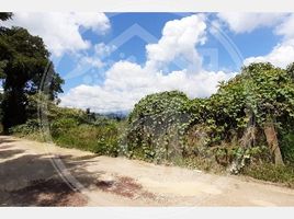  Grundstück zu verkaufen in Xico, Veracruz, Xico