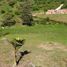  Land for sale in Marinilla, Antioquia, Marinilla