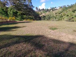  Land for sale in Marinilla, Antioquia, Marinilla