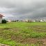  Terreno (Parcela) en venta en Montecristi, Manabi, Montecristi, Montecristi