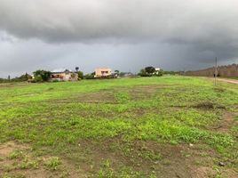  Land for sale in Montecristi, Manabi, Montecristi, Montecristi