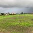 Land for sale in Montecristi, Manabi, Montecristi, Montecristi