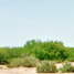  Grundstück zu verkaufen in Guaymas, Sonora, Guaymas