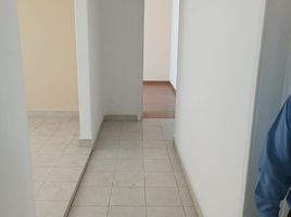 2 Schlafzimmer Wohnung zu vermieten in Miguel Hidalgo, Mexico City, Miguel Hidalgo, Mexico City