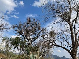  Grundstück zu verkaufen in Tepoztlan, Morelos, Tepoztlan, Morelos
