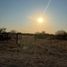  Land for sale in Hermosillo, Sonora, Hermosillo