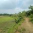  Land for sale in Cagayan, Cagayan Valley, Buguey, Cagayan