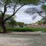  Terreno (Parcela) en venta en Castilla, Piura, Castilla, Piura, Piura