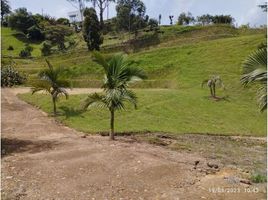  Grundstück zu verkaufen in Guarne, Antioquia, Guarne, Antioquia