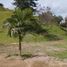  Grundstück zu verkaufen in Guarne, Antioquia, Guarne, Antioquia