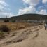  Terreno (Parcela) en venta en San Agustin Tlaxiaca, Hidalgo, San Agustin Tlaxiaca